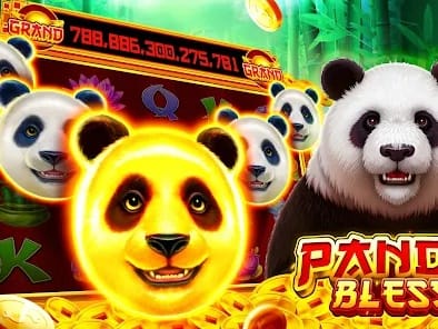 SlotOzen Casino Dashboard